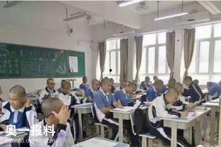 江苏职校爆料事件最新,揭开教育乱象背后的真相